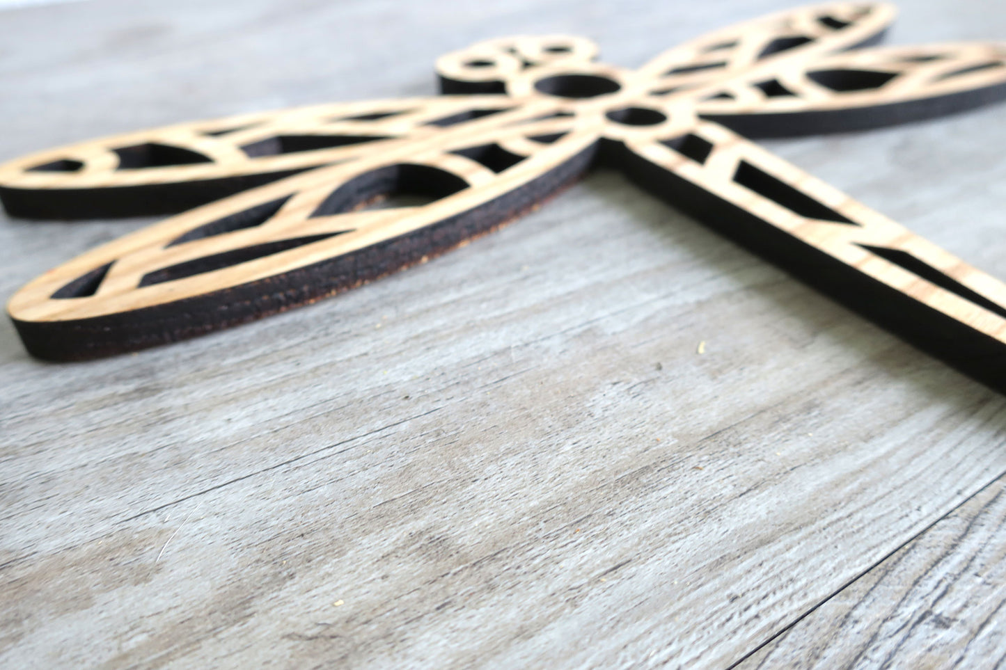 Drake the Dragonfly : Nature Nursery Decor