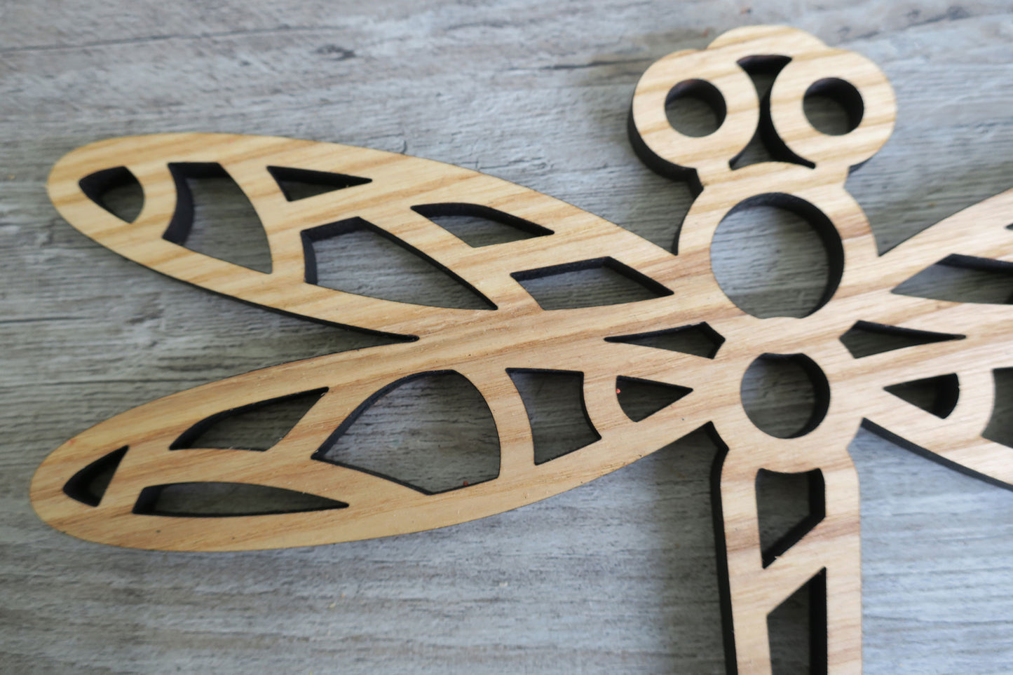 Drake the Dragonfly : Nature Nursery Decor