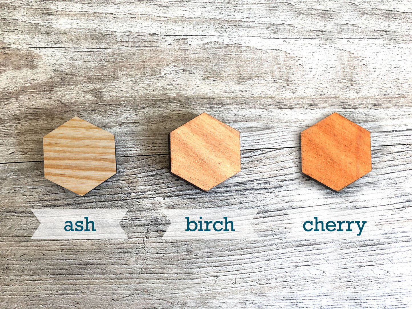 Bea the Butterfly : Nature Nursery Decor